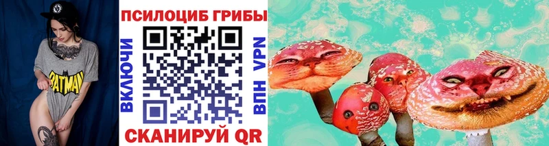 Псилоцибиновые грибы Psilocybine cubensis  MEGA вход  Ладушкин  купить наркотики цена 
